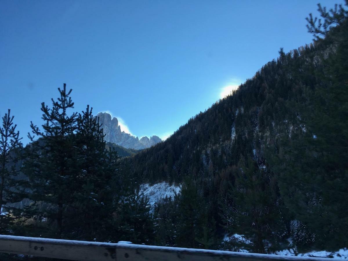 Santa Cristina Val GardenaLa Casa Dei Cuoriアパートメント エクステリア 写真